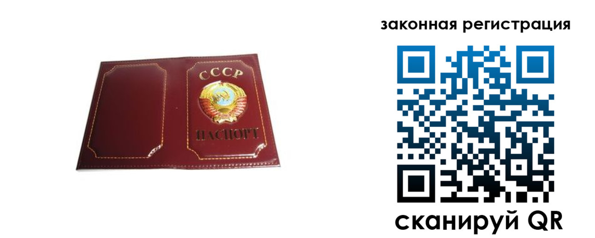 прописка поиск в Новосибирской области